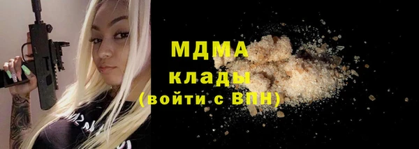 шишки Аркадак