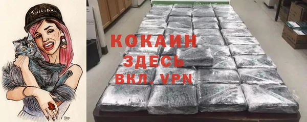 spice Арсеньев
