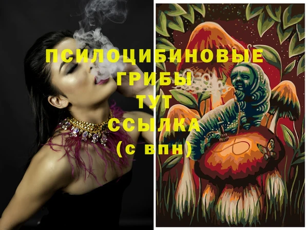 шишки Аркадак