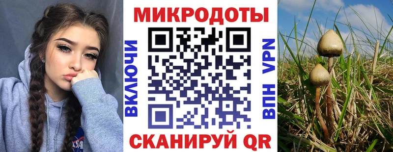 Галлюциногенные грибы Magic Shrooms Шелехов